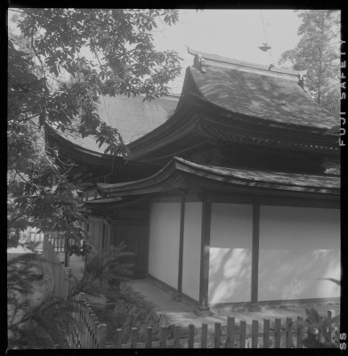 knd_37129()