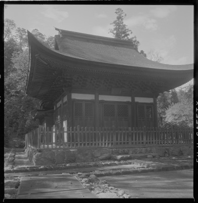 knd_37134()