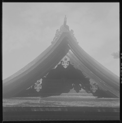 knd_37151()