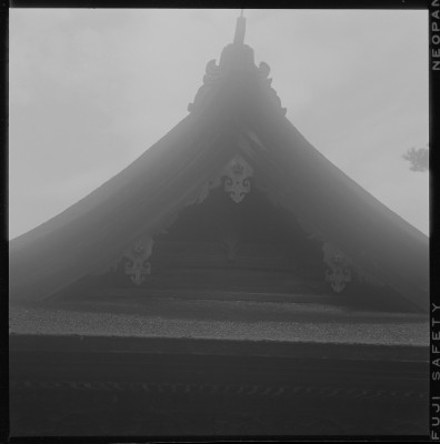 knd_37153()