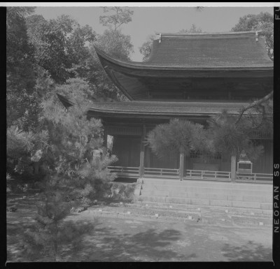 knd_37189()