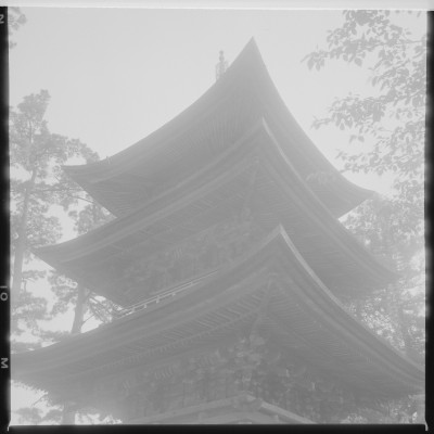 knd_37384()
