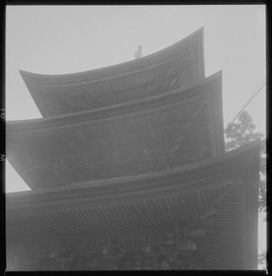 knd_37393()