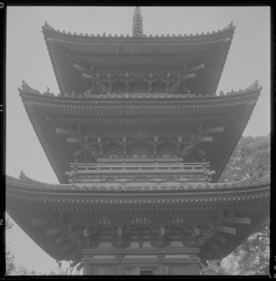 knd_37429()