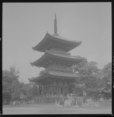 knd_37433()
