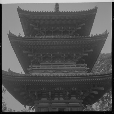 knd_37442()