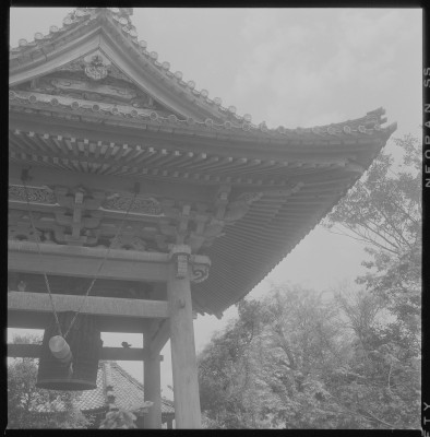 knd_37462()
