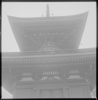 knd_37596()