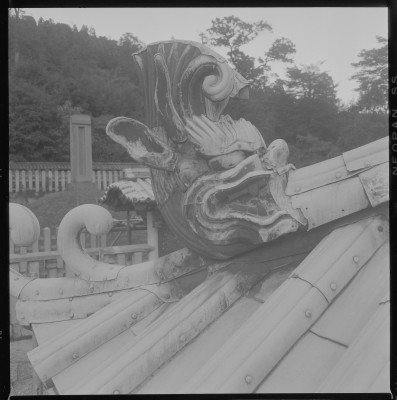 knd_37634()