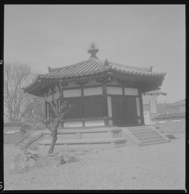 knd_37709()