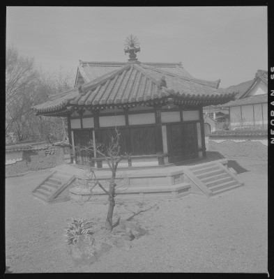 knd_37711()