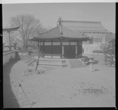 knd_37712()
