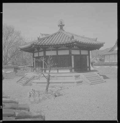 knd_37713()
