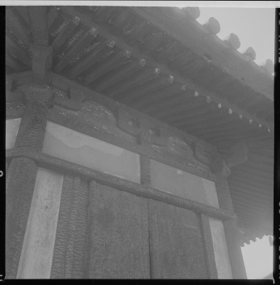 knd_37716()