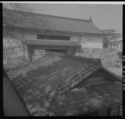 knd_37733()