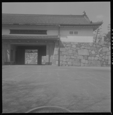 knd_37734()