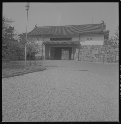 knd_37736()