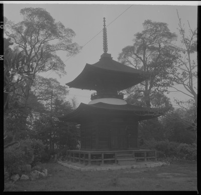 knd_37763()