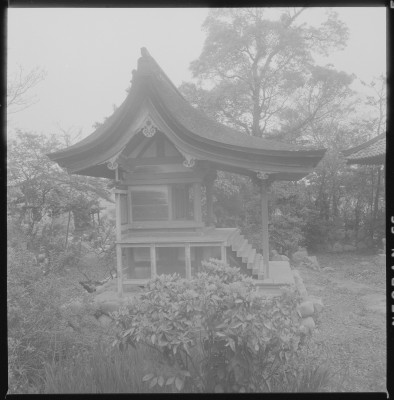 knd_37772()