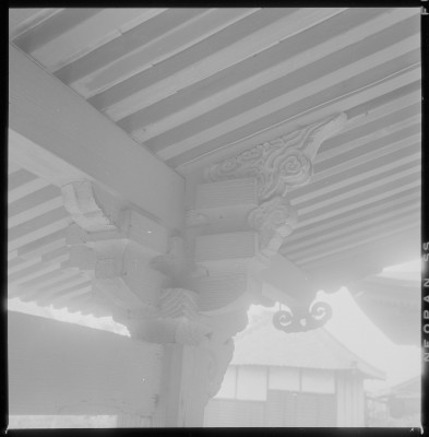 knd_37786()