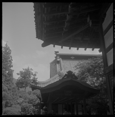knd_37828()