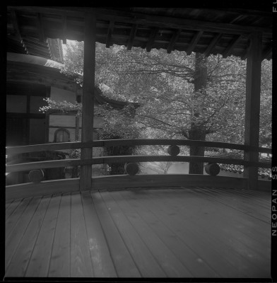 knd_37836()
