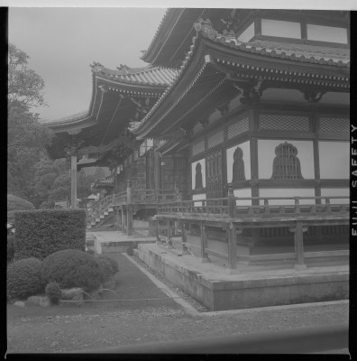 knd_37842()