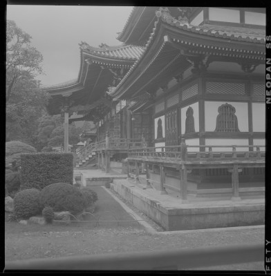 knd_37843()