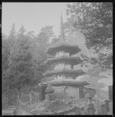 knd_37964()