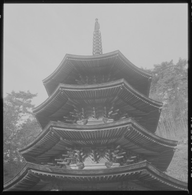 knd_37973()