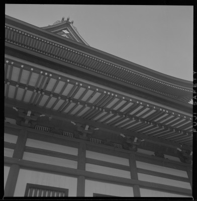 knd_38186()
