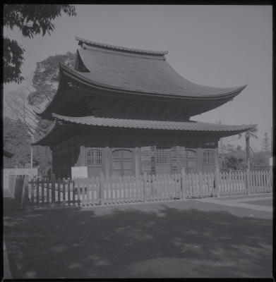 knd_38419()