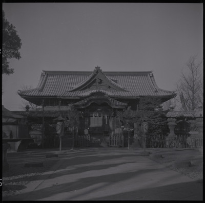 knd_38498()