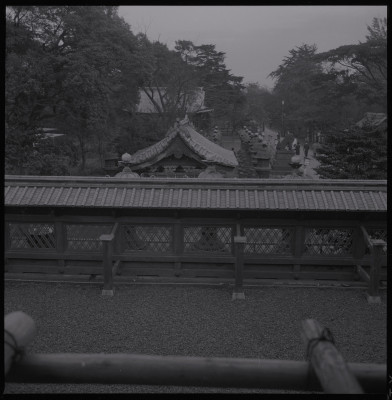 knd_38519()