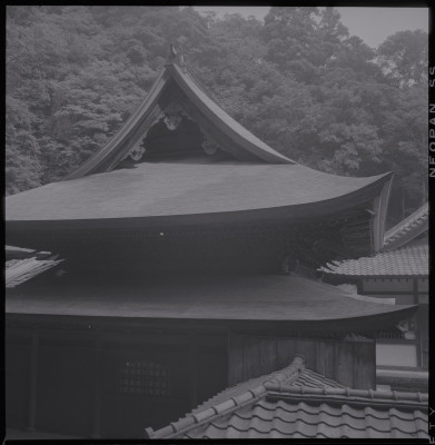 knd_38617()