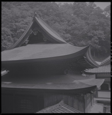 knd_38619()