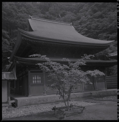 knd_38625()