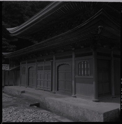 knd_38743()