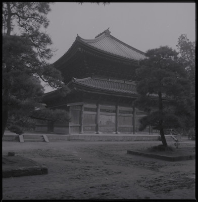 knd_38838()
