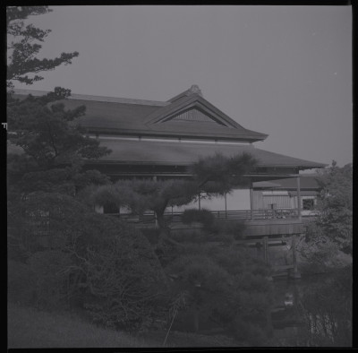 knd_38911()