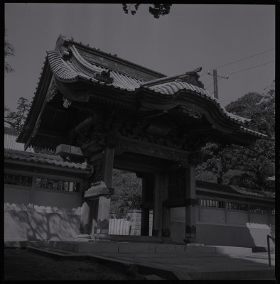 knd_38976()