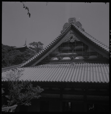 knd_38995()