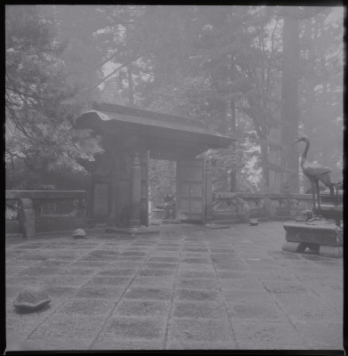knd_39036()