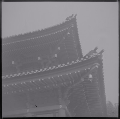 knd_39136()