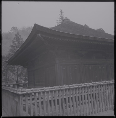 knd_39210()