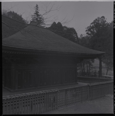 knd_39212()