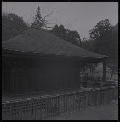 knd_39213()