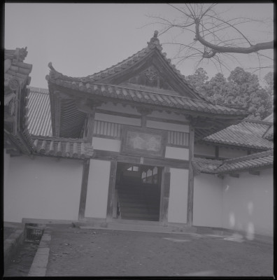 knd_39433()