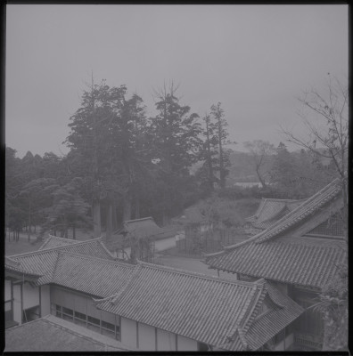 knd_39438()