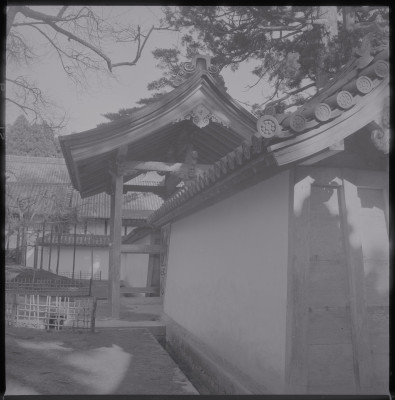 knd_39460()